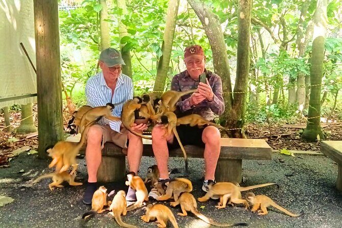 All-Inclusive Ishigaki Island Shore Excursion with English Guide - The Value of This Tour