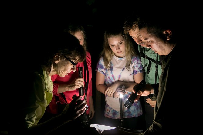 All-Inclusive Jungle Night Tour - Tour Duration and Pickup Information