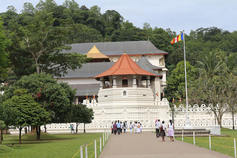 All inclusive Kandy and Pinnawala Elephants Day Tour from Colombo - Colombo to Kandy means a very early start