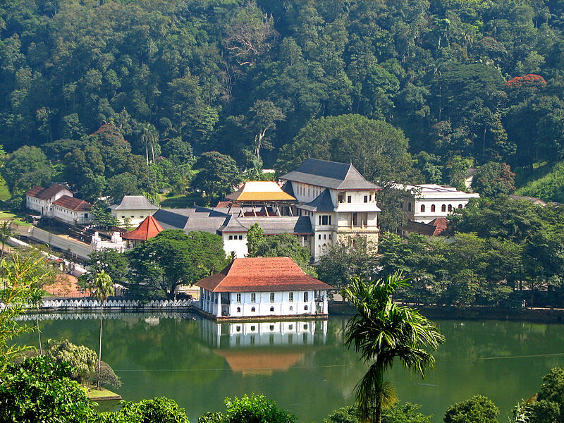 All inclusive Kandy and Pinnawala Elephants Day Tour from Colombo - The gem museum, tea factory, and spice garden
