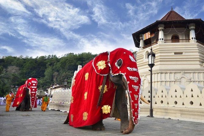 All Inclusive Kandy Private Day Tour From Colombo and Negombo - Accessibility Details