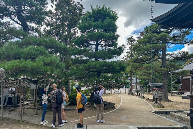 All-Inclusive Kyoto Day Tour: Amanohashidate, Miyama or Ohara - Good To Know