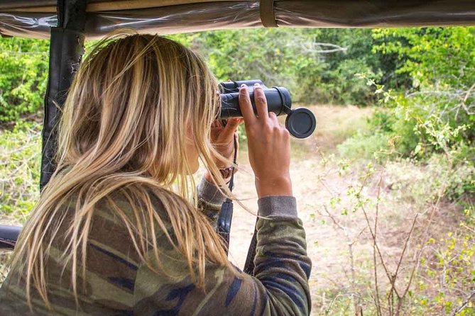All Inclusive Leopard Nest Luxury Glamping Experience in Yala - Traveler Photos and Reviews