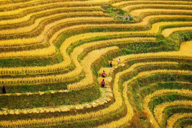 All Inclusive Longji Rice Terraces and Villages Private Day Tour - Pricing Details