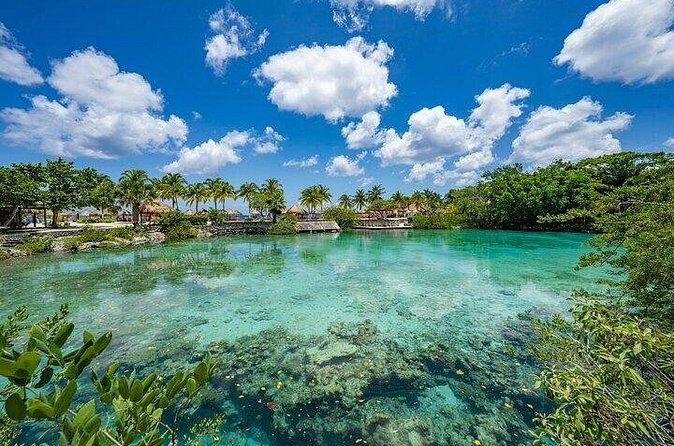 All Inclusive Mexican Tour with Buffet and Tequila Tasting - Who Is This Tour Best For?