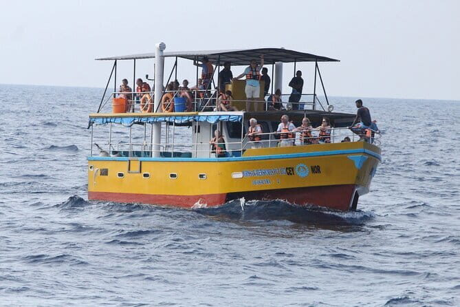 All Inclusive Mirissa Whale and Dolphin Watching Boat Ride - Good To Know