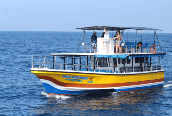 All Inclusive Mirissa Whale & Dolphin Watching + Snorkeling - Accessibility Features