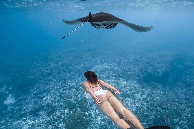 All Inclusive Nusa Penida Snorkeling Tour with Visit West Island - Introduction