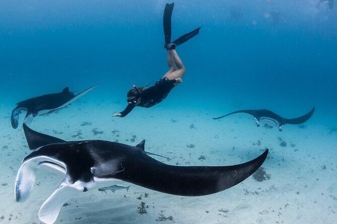 All Inclusive Nusa Penida Snorkeling Tour with Visit West Island - Exploring the Itinerary in Detail