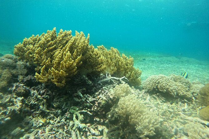 All Inclusive Nusa Penida Snorkeling Tour with Visit West Island - Final Thoughts