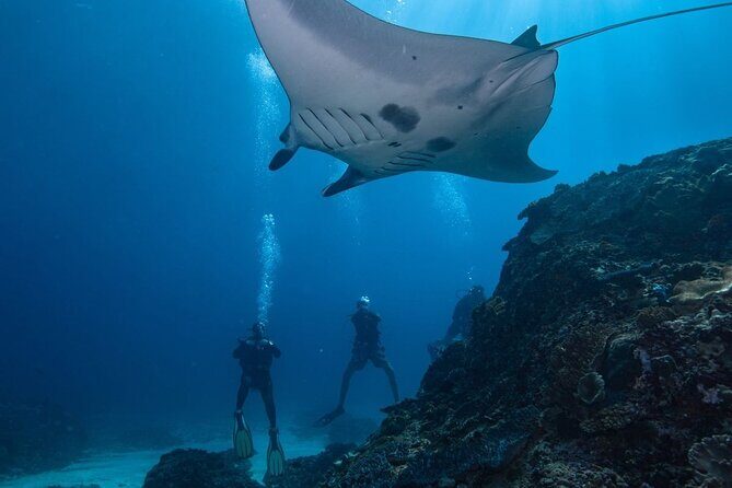 All Inclusive Nusa Penida Snorkeling Tour with Visit West Island - An Inside Look at the Itinerary