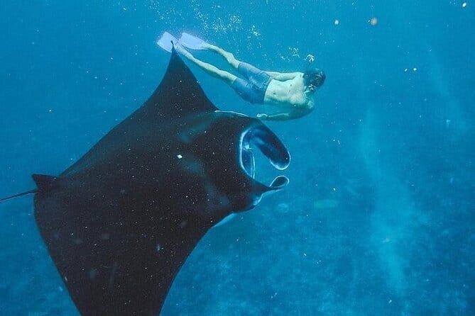 All Inclusive One Day Nusa Penida Instagram Tour East & West - FAQ