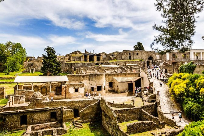 All Inclusive Pompeii Ruins Skip-The-Line Tour - Pricing and Copyright