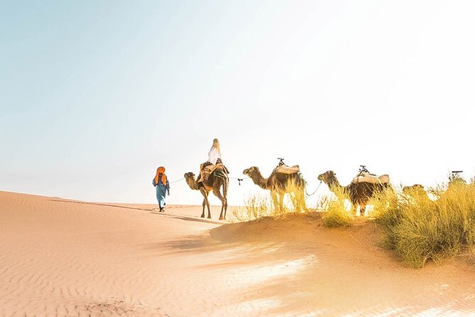 All Inclusive: Private 2 Days Sahara Desert Tour From Marrakech - Traveler Reviews
