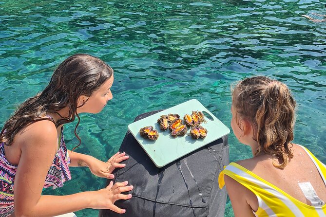 All Inclusive Private Boat Tour To Elaphiti Islands - Highlights