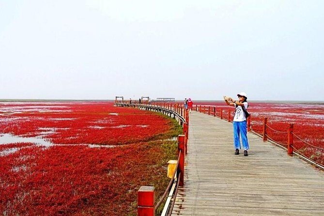 All-Inclusive Private Day Tour to Red Beach in Panjin City - Good To Know