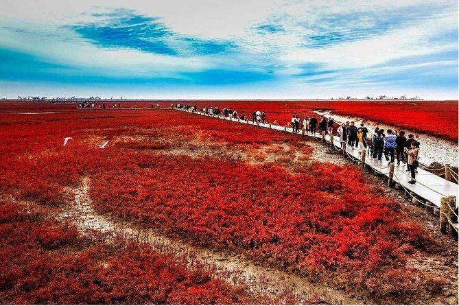 All-Inclusive Private Day Tour to Red Beach in Panjin City - Introduction: What Makes This Tour Special?