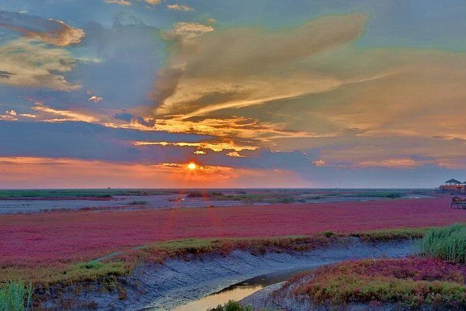 All-Inclusive Private Day Tour to Red Beach in Panjin City - The Experience of Wildlife and Scenery