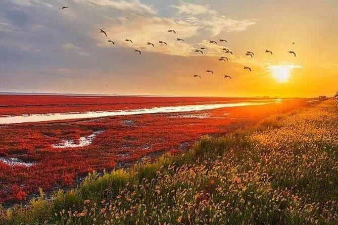 All-Inclusive Private Day Tour to Red Beach in Panjin City - The Role of the Guide