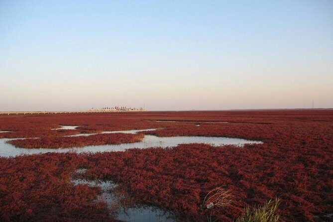 All-Inclusive Private Day Tour to Red Beach in Panjin City - Practical Details: Transportation & Timing