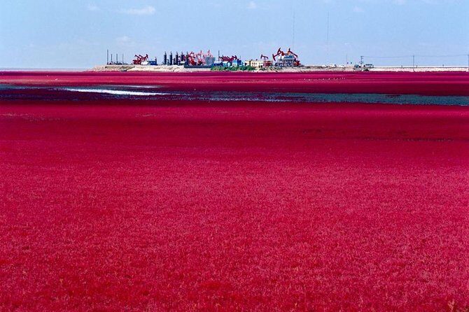All-Inclusive Private Day Tour to Red Beach in Panjin City - The Sum Up: Who Should Consider This Tour?