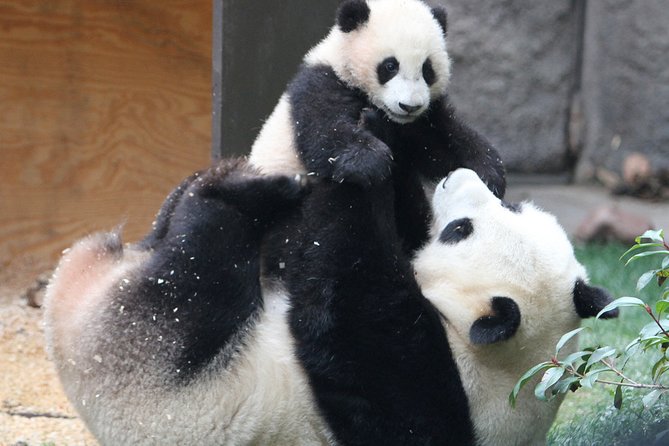 All-Inclusive Private Day Trip: Hutongs, Lama Temple & Panda House With Lunch - Pickup Logistics