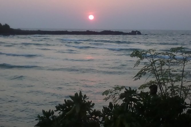 All Inclusive Private Day Trip to Southern Srilanka Galle, Bentota - Reviews and Ratings