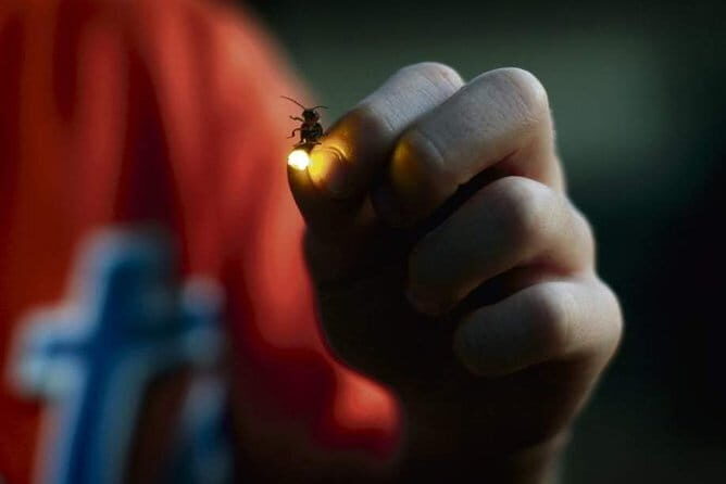 All-Inclusive Private El Nido Tour D - Cost and Value