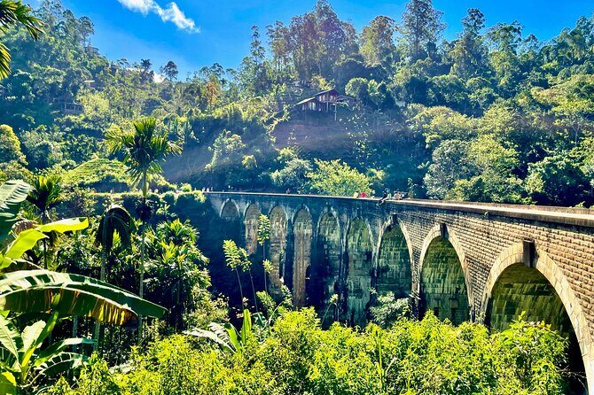 All inclusive private Ella Day Tour with Train Ride & Teafactory - The Sum Up