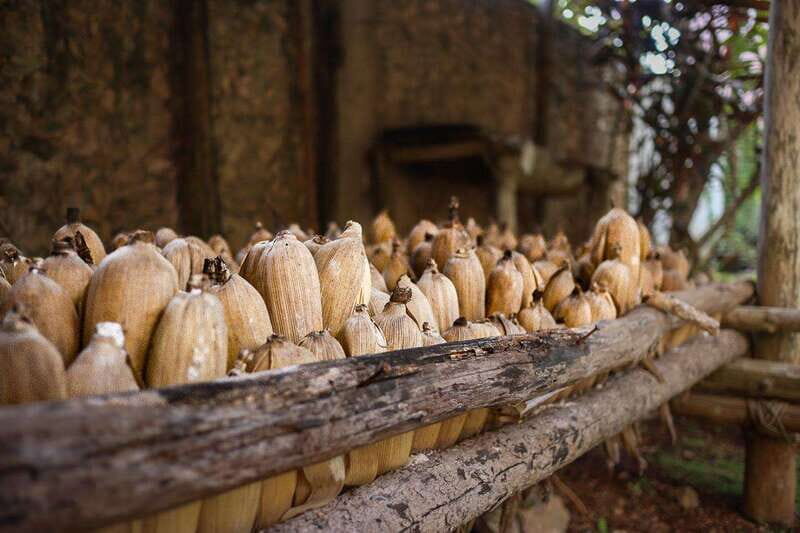 All Inclusive Private Experience to Chichen itza with Cenote from Cancun - Final Thoughts: Is This Tour Right for You?