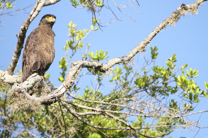 All Inclusive Private Full Day Safari in Yala National Park With Lunch - Flexible Booking Options