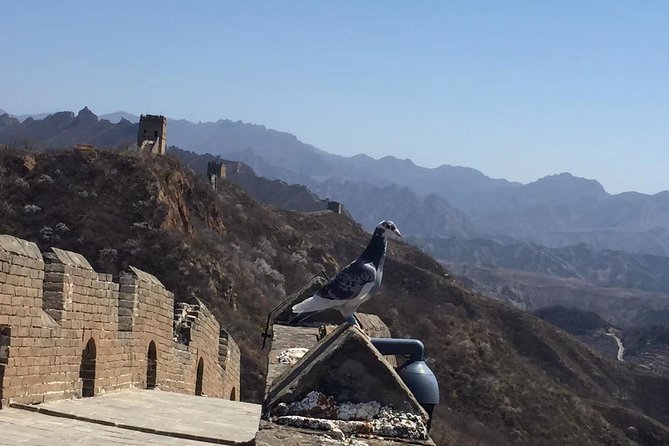 All-Inclusive Private Mutianyu Great Wall Day Tour With Dumpling Lunch - Tour Highlights