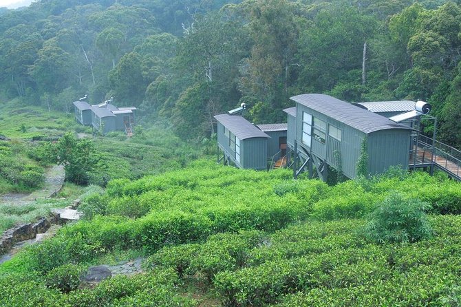 All Inclusive - Private Overnight Rain Forest Adventure in Sinharaja - Meeting and Pickup Details