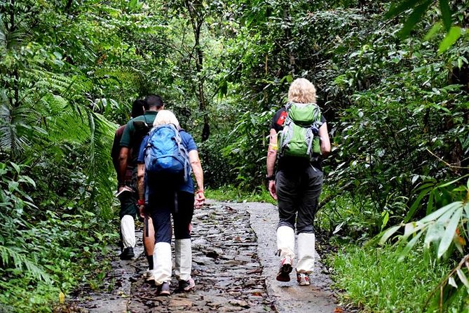 All Inclusive - Private Overnight Rain Forest Adventure in Sinharaja - Customer Reviews