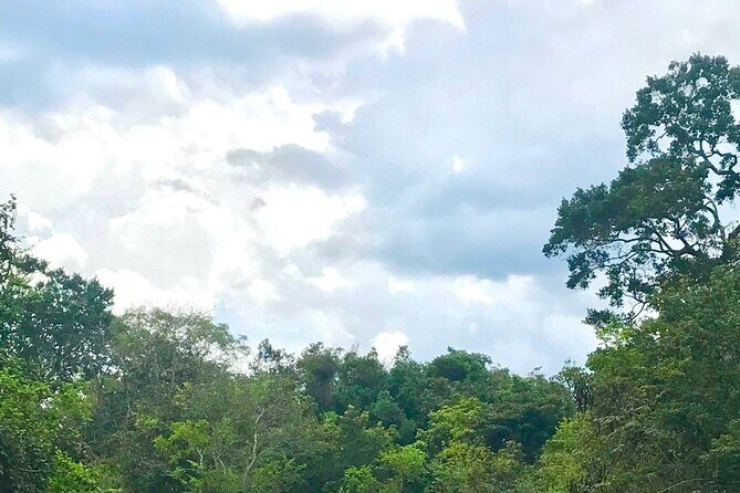 All Inclusive Private Safari at Habarana Park (Pick-up Included) - Frequently Asked Questions