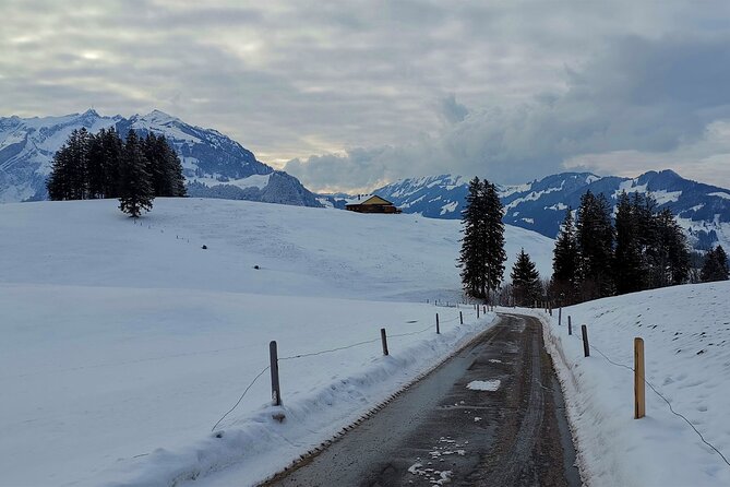 All Inclusive Rhine Falls and Appenzell Private Day Tour From Zurich - Enjoy a Picnic