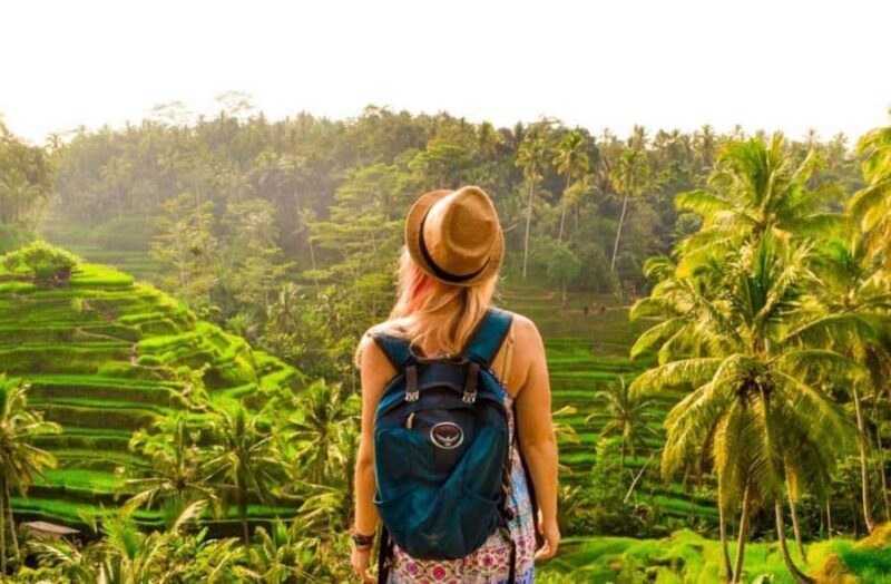 All-Inclusive Rice Terrace, Waterfall, and Temple Day Tour - Experience Quality and Practicality