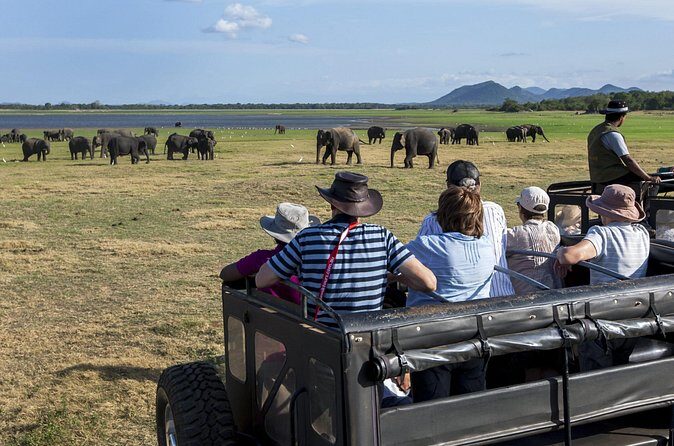 All Inclusive Safari at Minneriya National Park from Polonnaruwa - FAQ