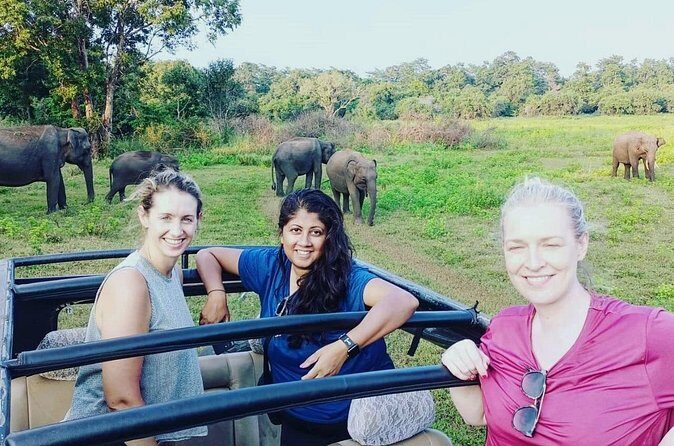 All Inclusive Safari at Minneriya National Park from Polonnaruwa - Authentic Experiences and Insights from Reviews