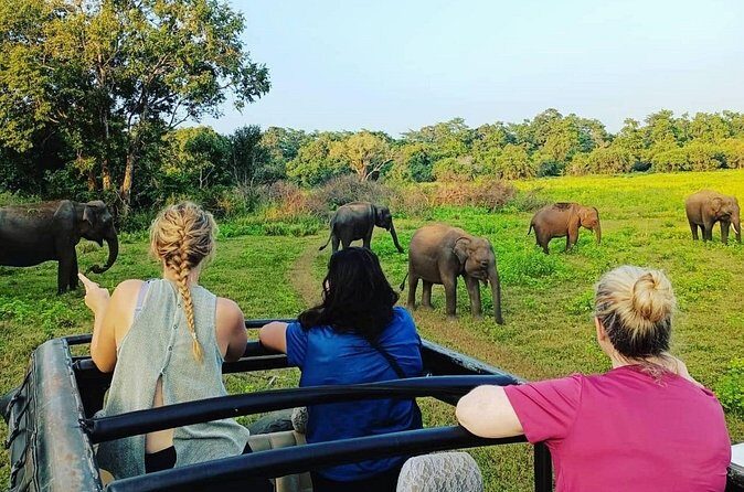 All Inclusive Safari at Minneriya National Park from Polonnaruwa - FAQ
