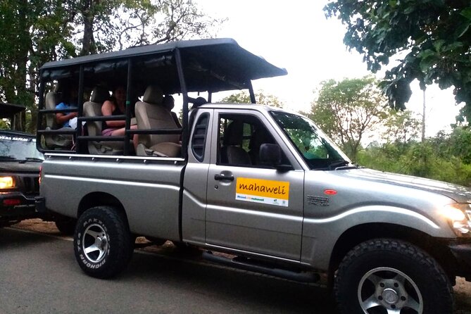 All Inclusive Safari at Udawalawa National Park - Group Size and Tour Setting