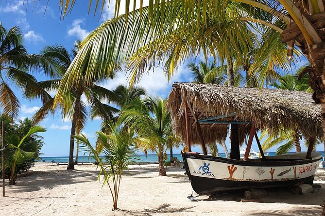 All-Inclusive Saona Island Full Day Trip and Catamaran Cruise From Santo Domingo - Overview and Details