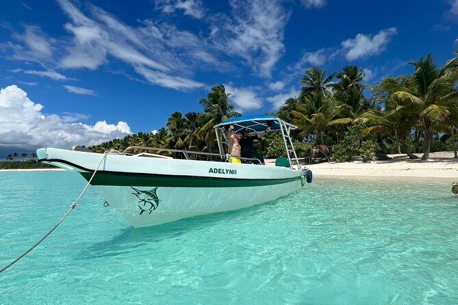 All Inclusive Saona Private Boat Tour from 165 USD p/P - A Quick Intro: What Makes This Tour Stand Out?