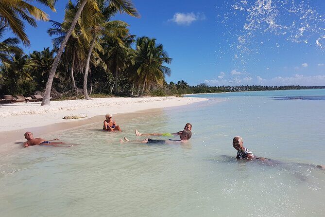 All Inclusive Saona Private Boat Tour from 165 USD p/P - Good To Know