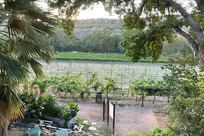 All Inclusive Sedona Join in Wine Tour 200 5 Star Reviews! - Cancellation Policy