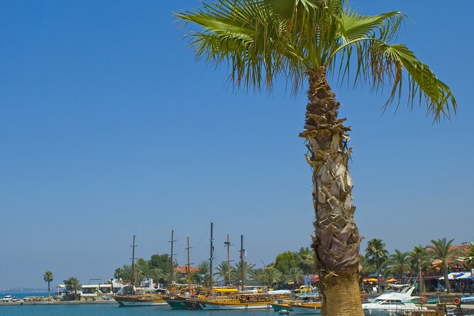 All Inclusive Side Boat Trip - Customer Reviews