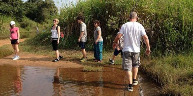 All-Inclusive Sigiriya Village Tour With Traditional Lunch - Sigiriya Countryside Escapade