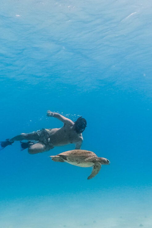 All-Inclusive Snorkel in Balandras Hidden Beaches, La Paz - Good To Know