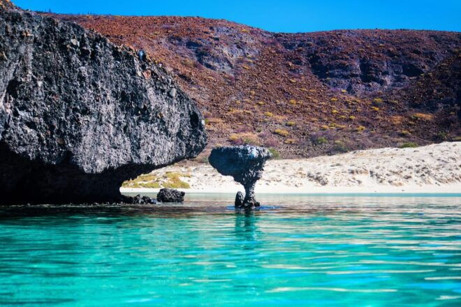 All-Inclusive Snorkel in Balandras Hidden Beaches, La Paz - Snorkeling in Clear Blue Waters