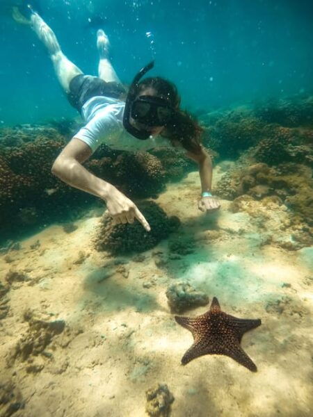 All-Inclusive Snorkel in Balandras Hidden Beaches, La Paz - Important Considerations